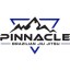 Pinnacle BJJ / Ares Glendale